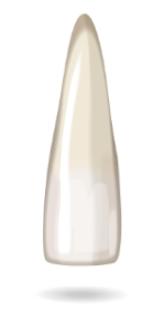 teeth-image