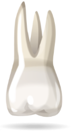 teeth-image