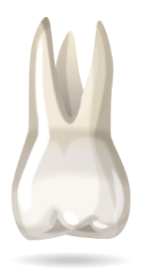 teeth-image