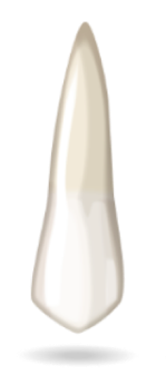 teeth-image