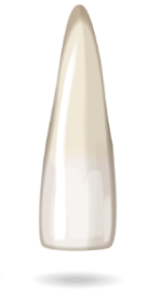 teeth-box