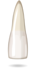 teeth-image