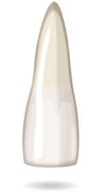 teeth-image