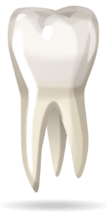 teeth-image